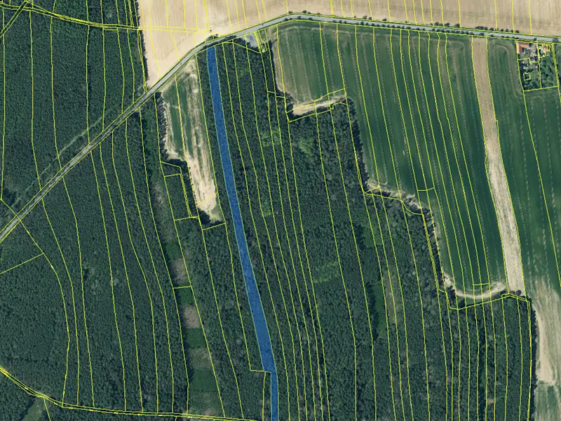 Prodej lesa 12972 m², Hromnice – náhled fotky 2
