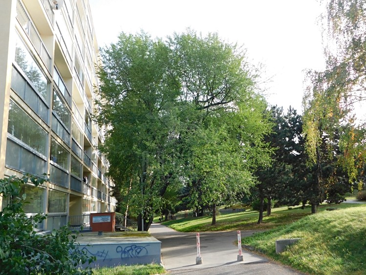 Prodej bytu 3+1, 72 m² (18 z 21)