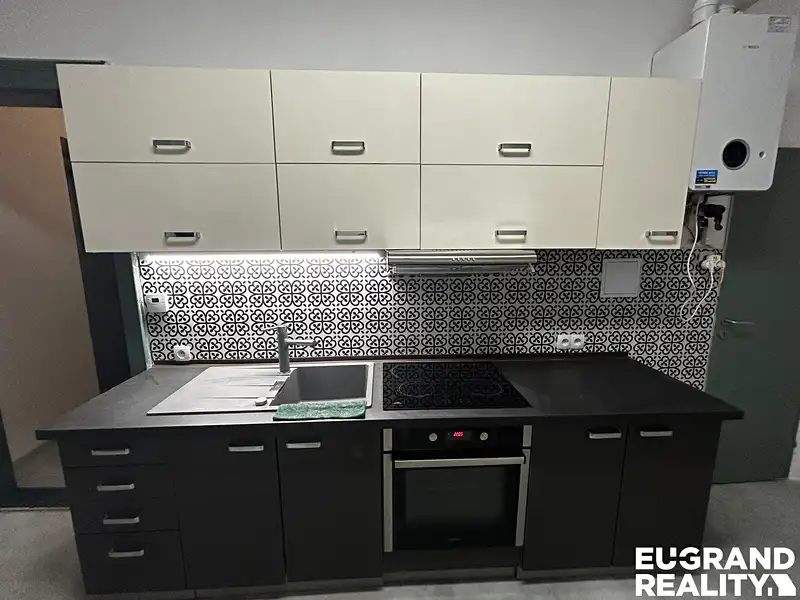Pronájem bytu 2+1 54 m², Děčín – náhled fotky 1