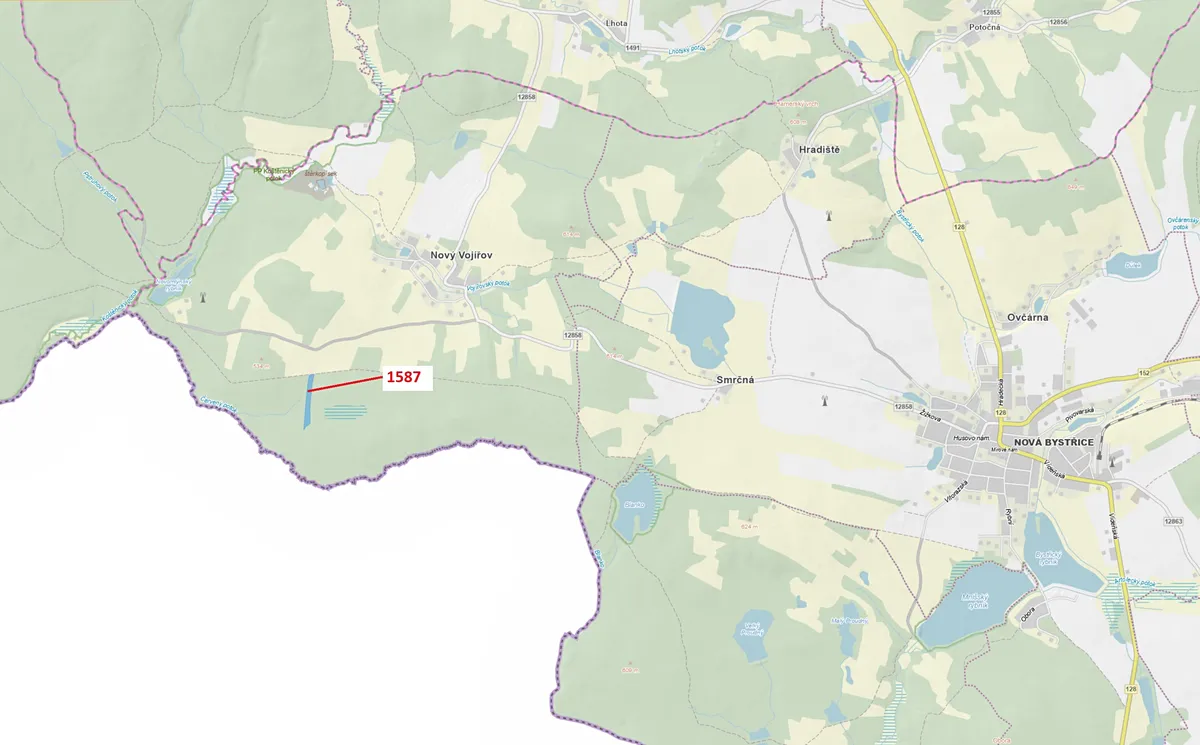 Dražba lesa 11125 m²