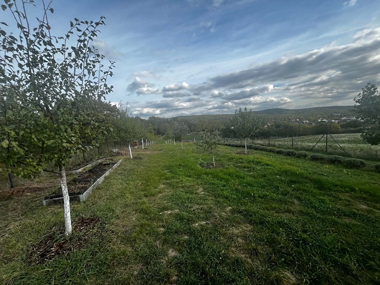 Ostatní
