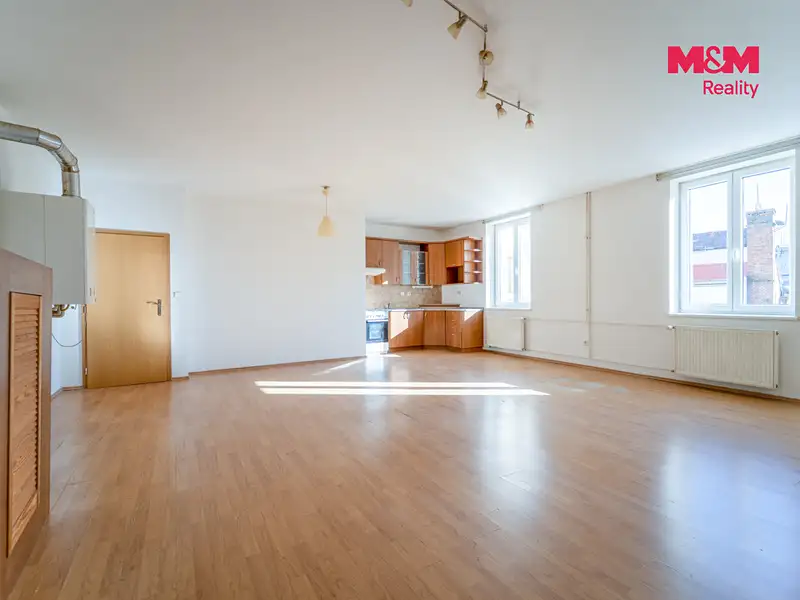 Pronájem bytu 3+kk 123 m², Plzeň – náhled fotky 3