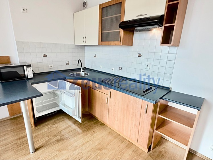 Wohnung 1+kk zur Miete, 44 m² (7 von 18)