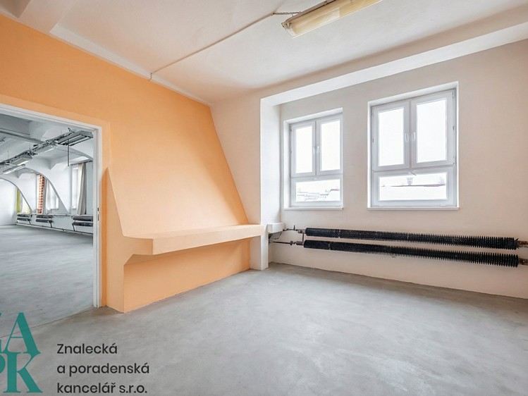 Gewerbefläche zur Miete, 303 m² (4 von 7)