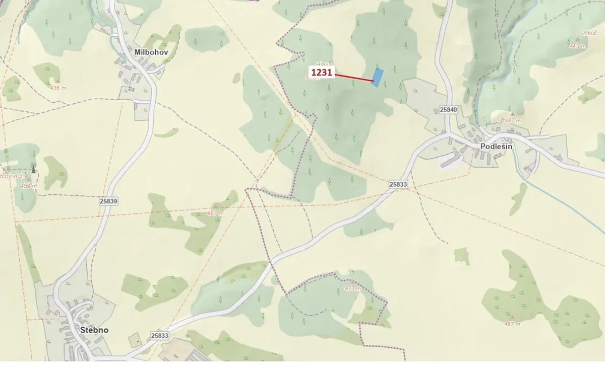 Dražba lesa 1462 m²