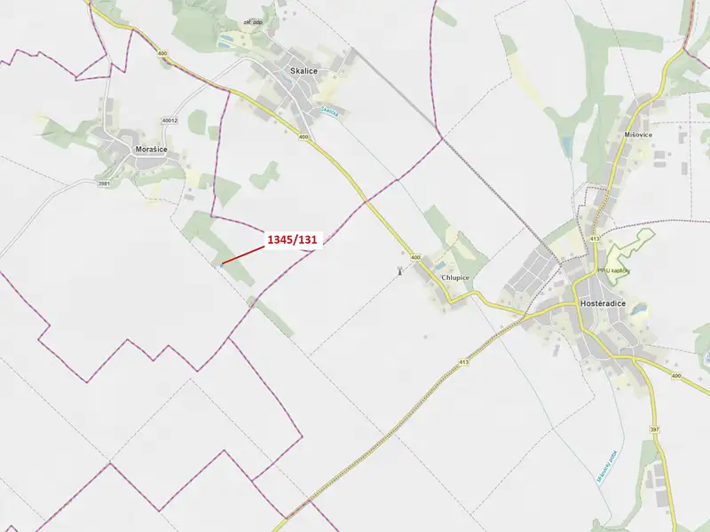 Dražba lesa 432 m², Morašice – náhled fotky 1
