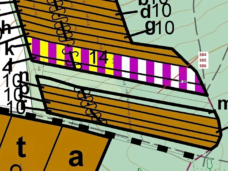 Dražba lesa 3483 m², Hradčany-Kobeřice – náhled fotky 3