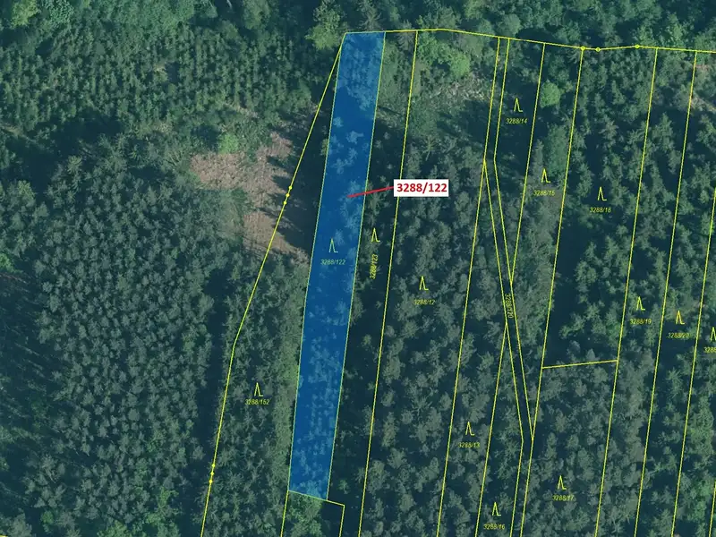 Dražba lesa 1942 m², Hosty – náhled fotky 2