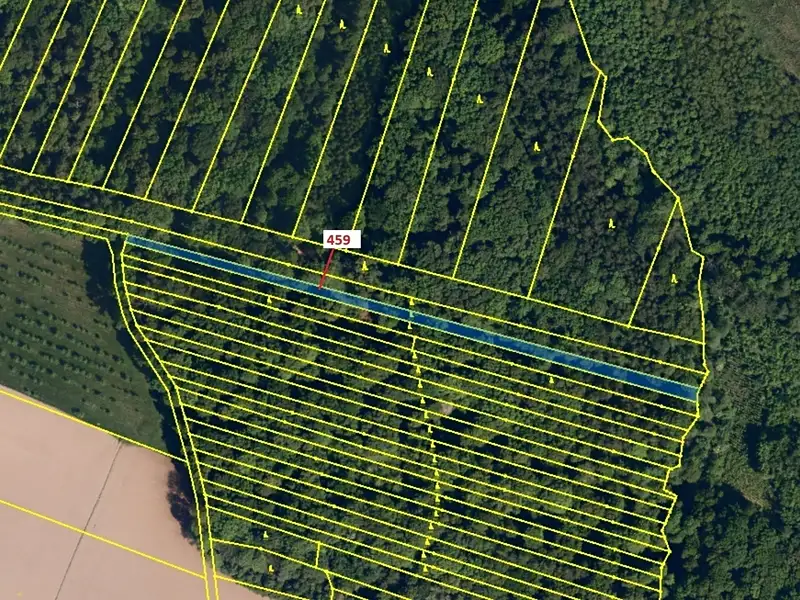 Dražba lesa 1895 m², Hradčany-Kobeřice – náhled fotky 2
