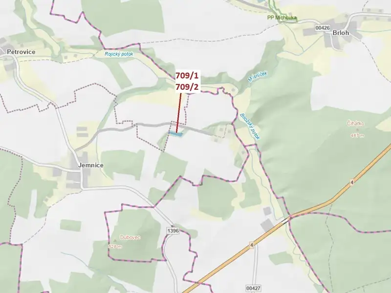 Dražba lesa 1823 m², Osek – náhled fotky 1