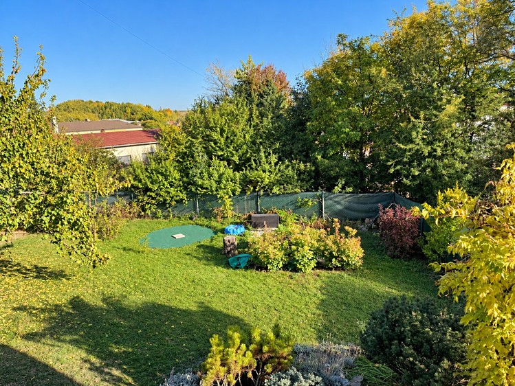 Ostatní
