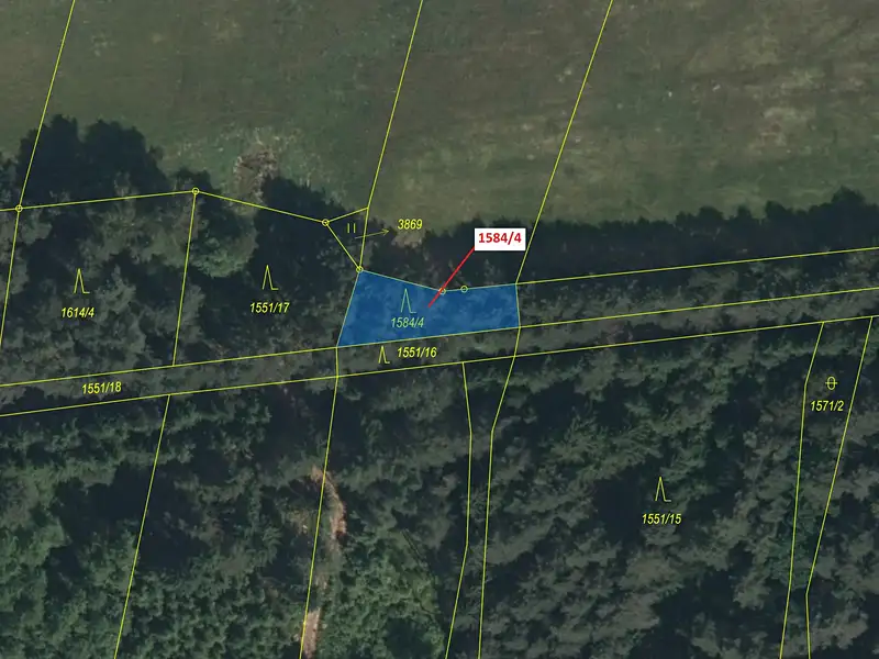 Dražba lesa 260 m², Nová Bystřice – náhled fotky 2