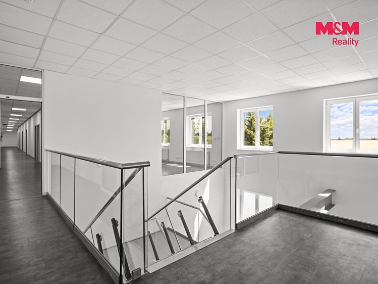 Комерційне приміщення в оренду, 451 м² (8 з 22)