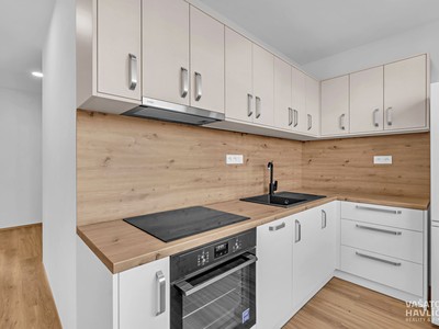 Pronájem bytu 2+1, 57 m² (2 z 17)