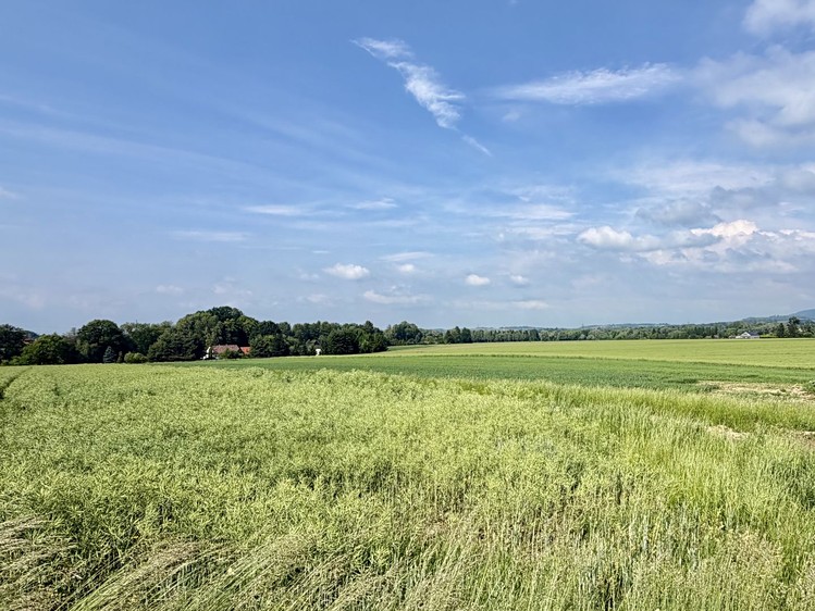 Prodej pozemku, 2 318 m² (6 z 12)