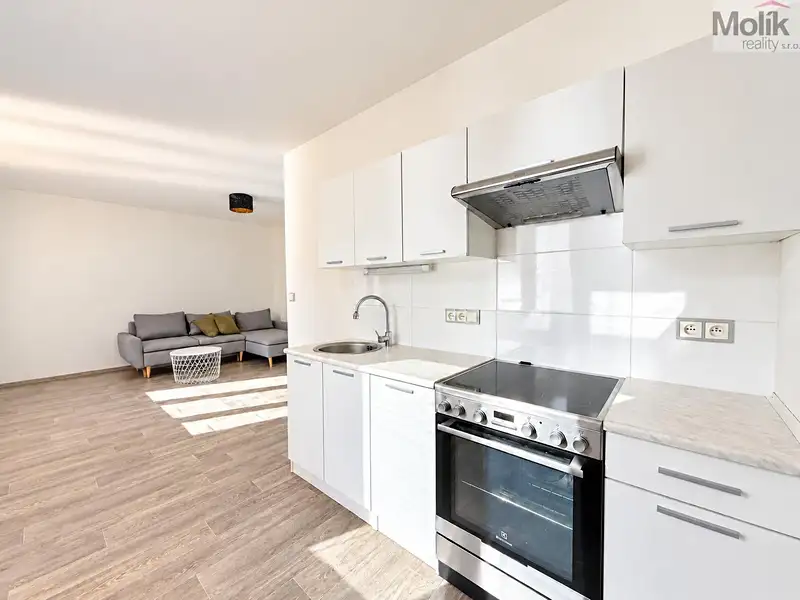 Prodej bytu 2+1 50 m², Teplice – náhled fotky 2
