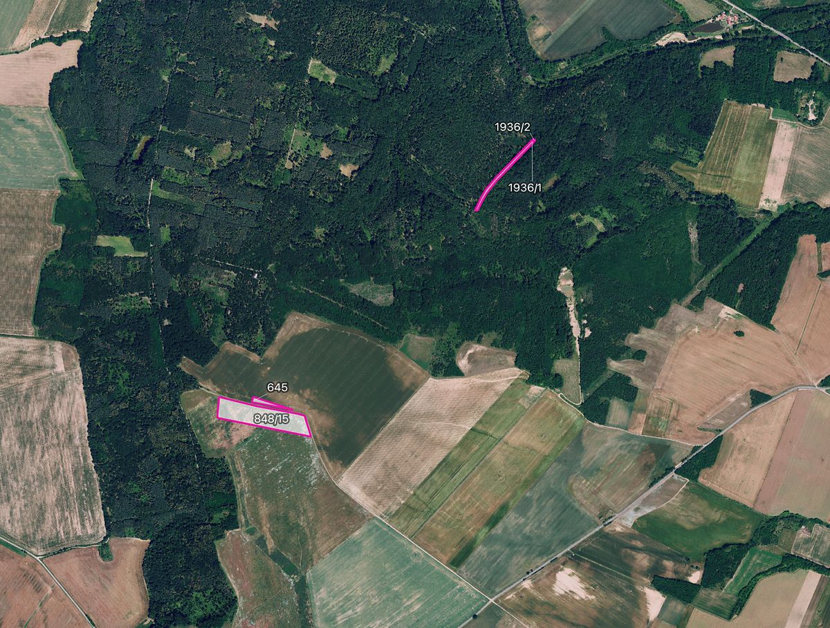 Prodej pole 11072 m², Džbánice – fotka 1 z 3