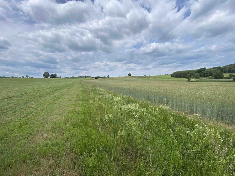 Grundstück zum Kauf, 2.087 m² (4 von 7)