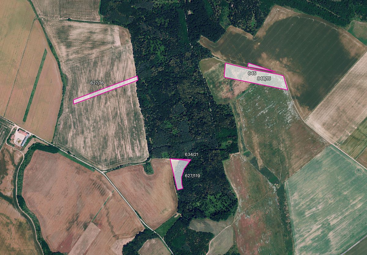 Prodej pole 24528 m², Džbánice – fotka 1 z 3
