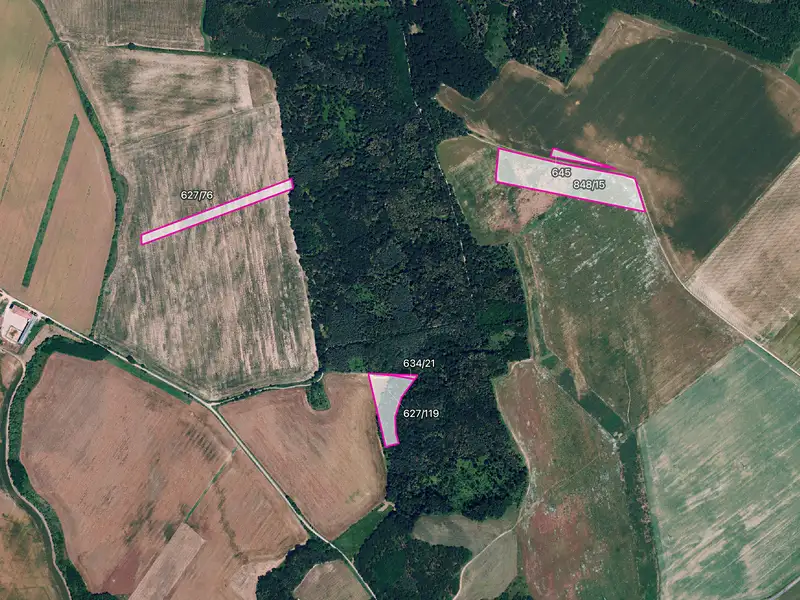 Prodej pole 24528 m², Džbánice – náhled fotky 1