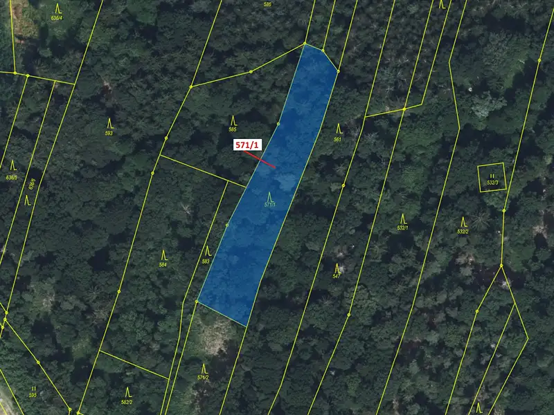 Dražba lesa 2332 m², Dobříkov – náhled fotky 2