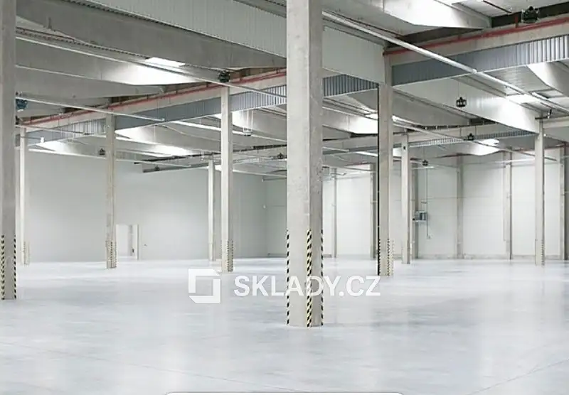 Pronájem skladového prostoru 8700 m², Chrášťany – náhled fotky 3