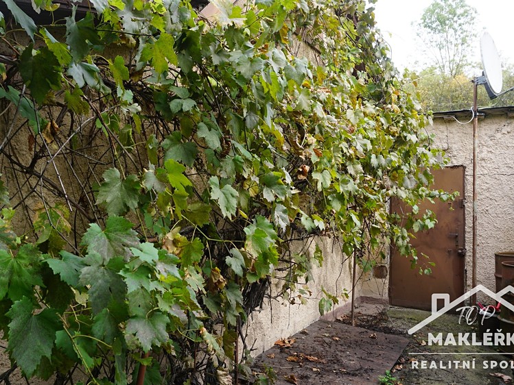 Prodej domu, 22 m² (6 z 32)