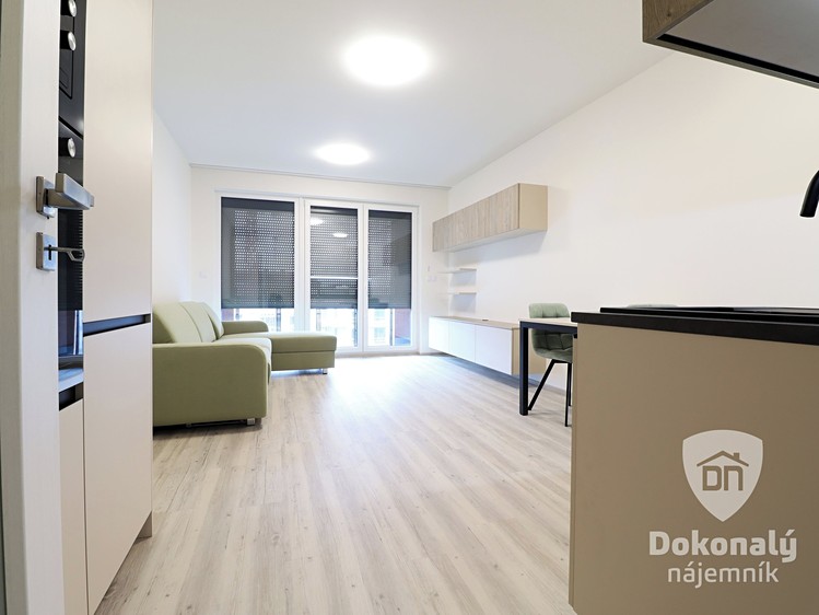 Pronájem bytu 1+kk, 34 m² (11 z 23)