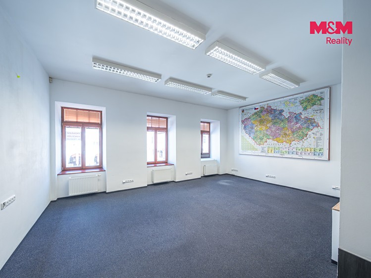 Будинок на продаж, 801 м² (3 з 30)