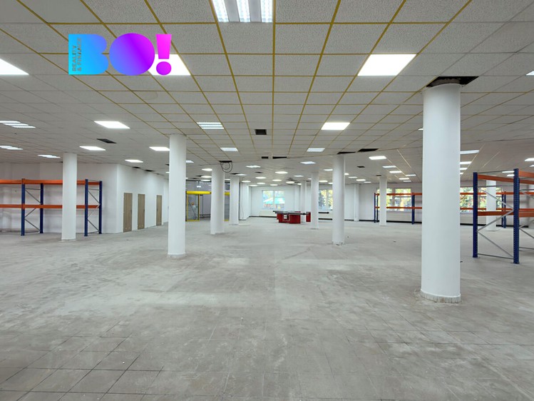 Комерційне приміщення в оренду, 350 м² (3 з 17)
