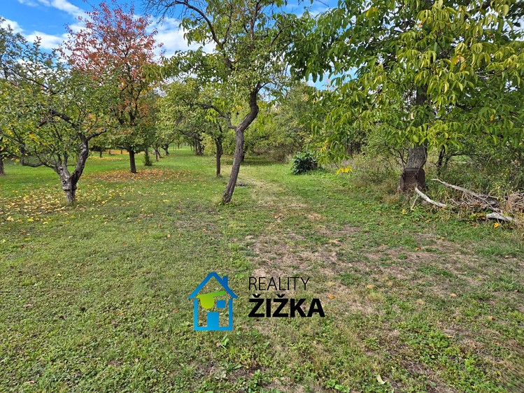 Ділянка на продаж, 2 167 м² (2 з 8)