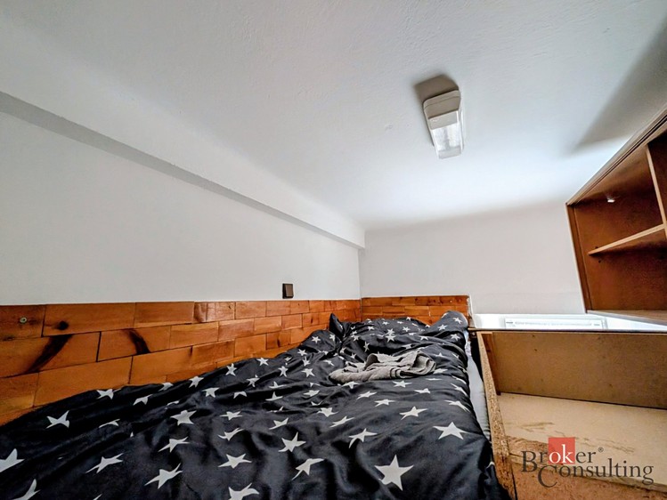 Pronájem bytu 4+1, 110 m² (15 z 28)