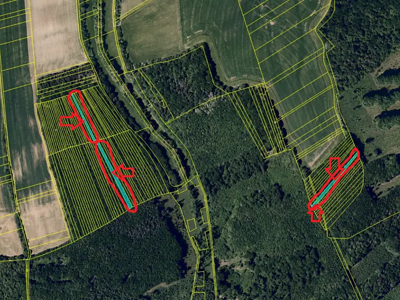 Prodej lesa 2823 m², Mouřínov – náhled fotky 2