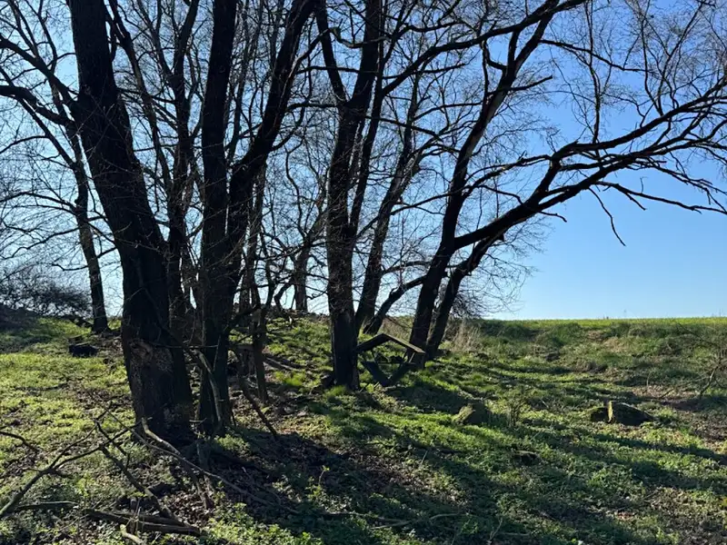 Prodej pozemku 7710 m², Jevišovice – náhled fotky 3