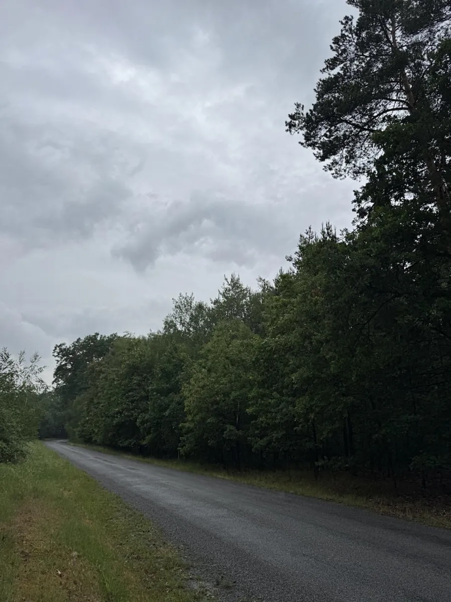 Prodej lesa 10225 m²