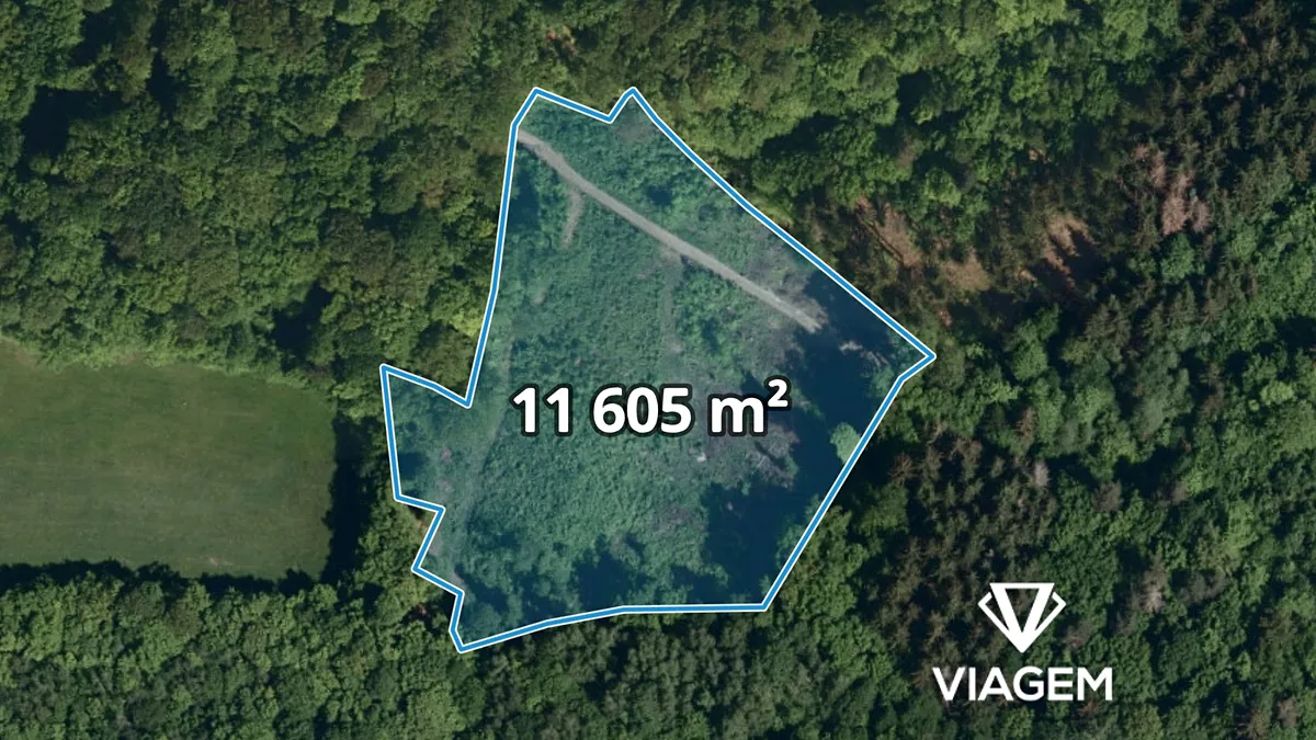 Prodej podílu 1/2 lesa 5802 m²