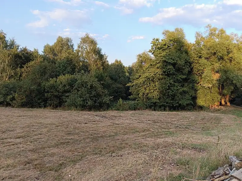 Prodej zahrady 2000 m², Arnoltice – náhled fotky 3