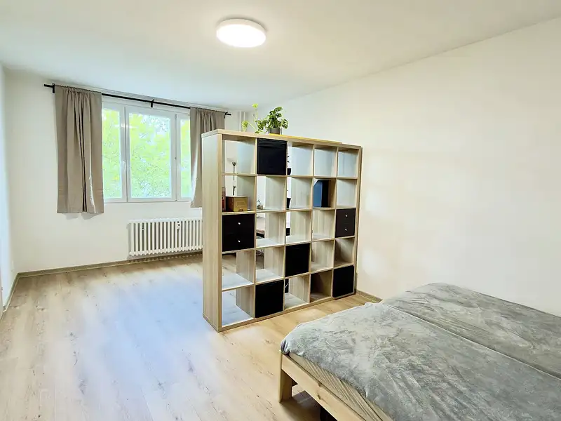 Pronájem bytu 2+1 63 m², Plzeň – náhled fotky 3