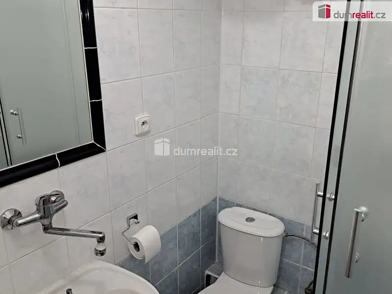 Pronájem bytu atypický 20 m², Praha – náhled fotky 3