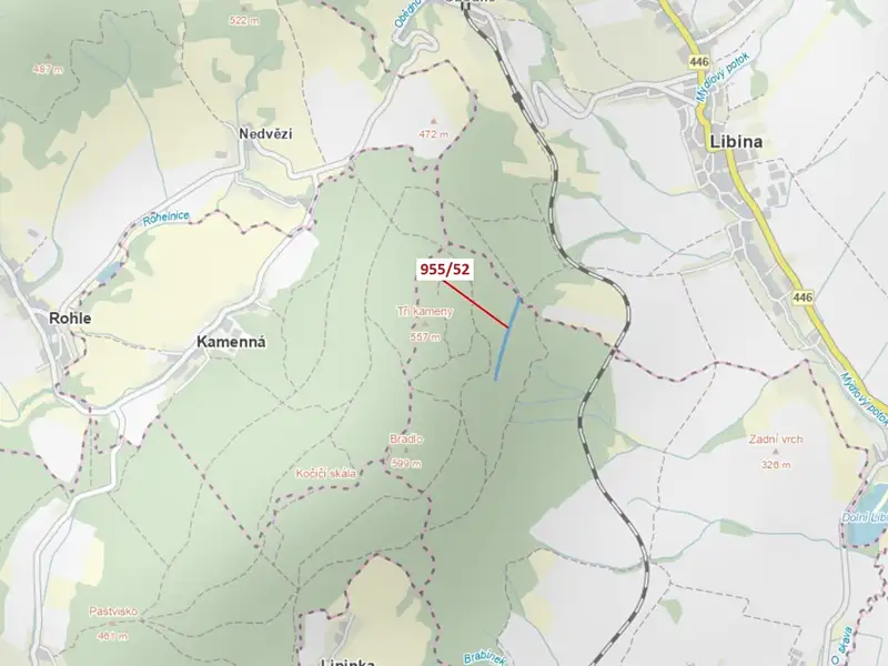 Dražba lesa 12014 m², Nová Hradečná – náhled fotky 1