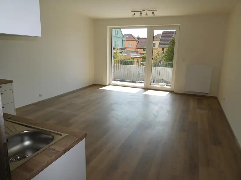 Pronájem bytu 2+kk 64 m², Plzeň – náhled fotky 3