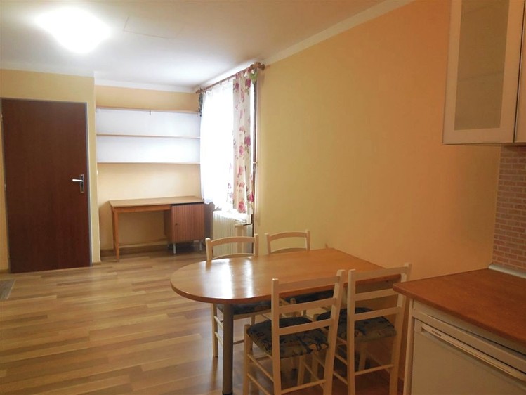 Wohnung 1+kk zur Miete, 21 m² (5 von 8)