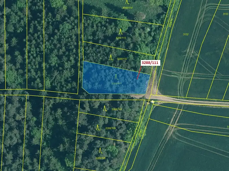 Dražba lesa 978 m², Hosty – náhled fotky 2