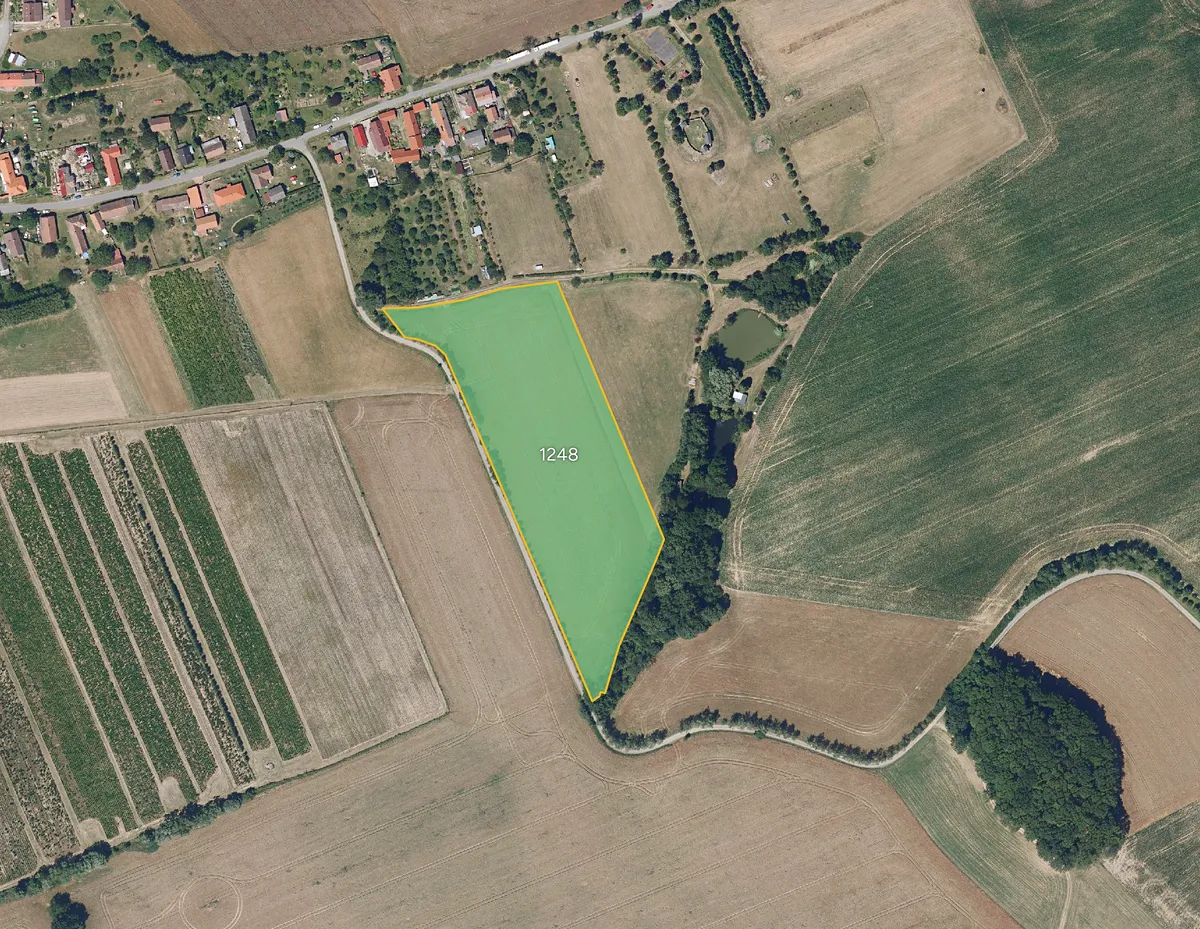Prodej pole 8006 m²