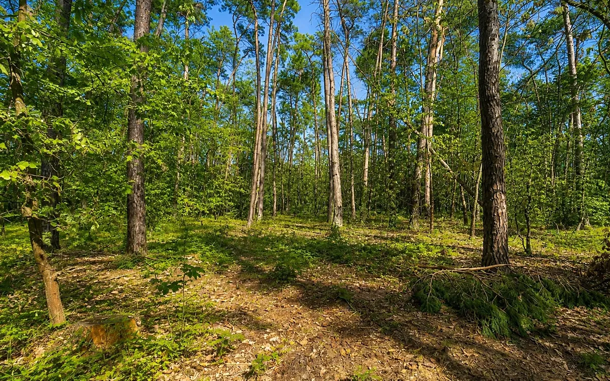 Prodej stavebního pozemku 4428 m²