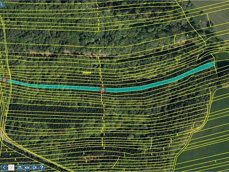 Prodej lesa 4599 m², Slavičín – náhled fotky 1
