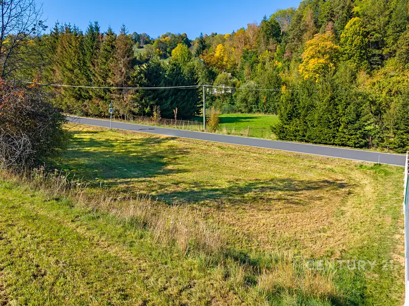 Prodej stavebního pozemku 1451 m², Hartmanice – náhled fotky 3