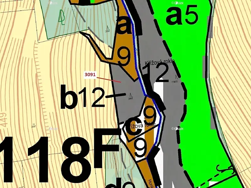 Dražba lesa 1964 m², Benešov u Semil – náhled fotky 3