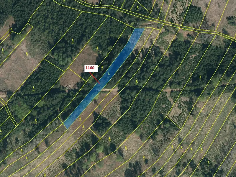 Dražba lesa 2693 m², Vilice – náhled fotky 2