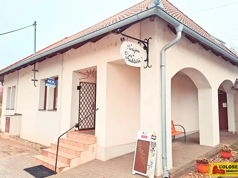 Pronájem obchodního prostoru 69 m², Dyje – náhled fotky 2